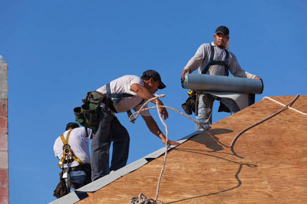 Best Flat Roof Repair Services  in Bement, IL